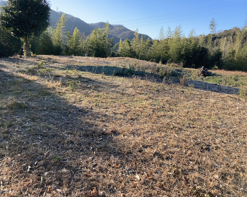 浦間茶臼山古墳