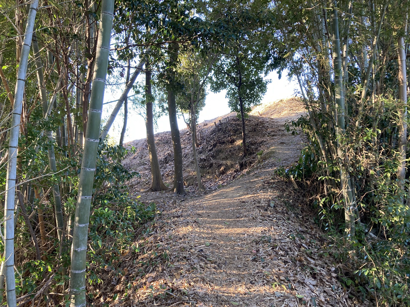 浦間茶臼山古墳