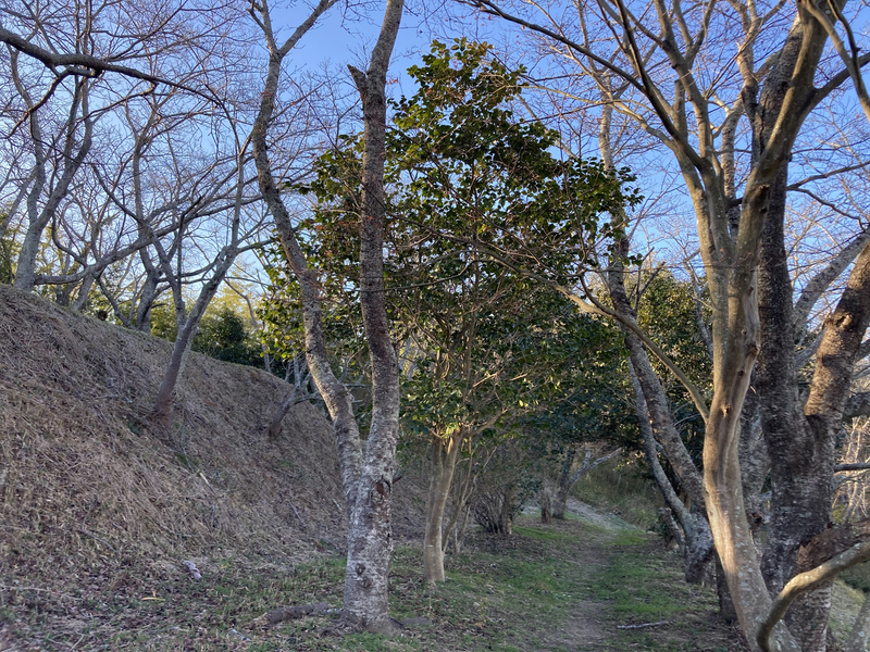 浦間茶臼山古墳