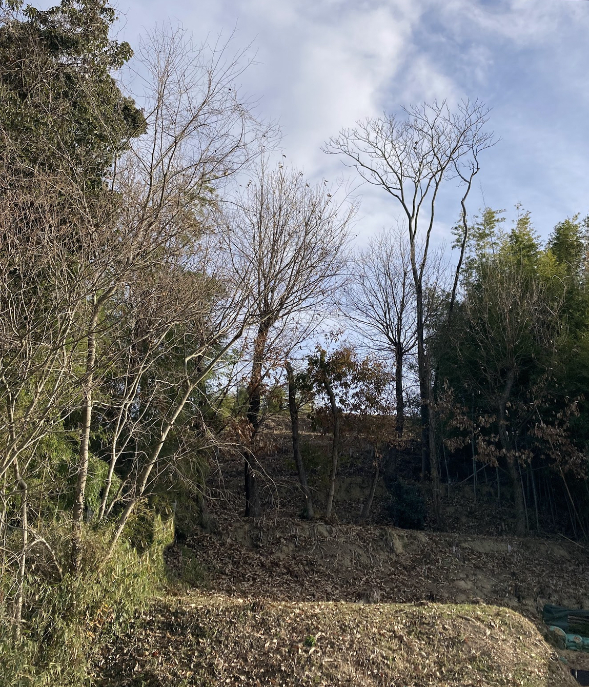 浦間茶臼山古墳