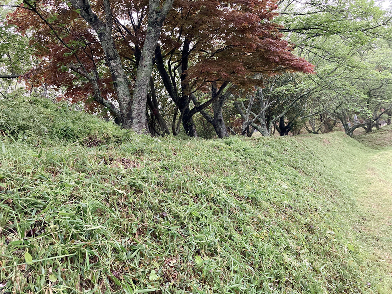 浦間茶臼山古墳