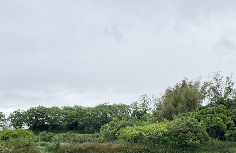 浦間茶臼山古墳