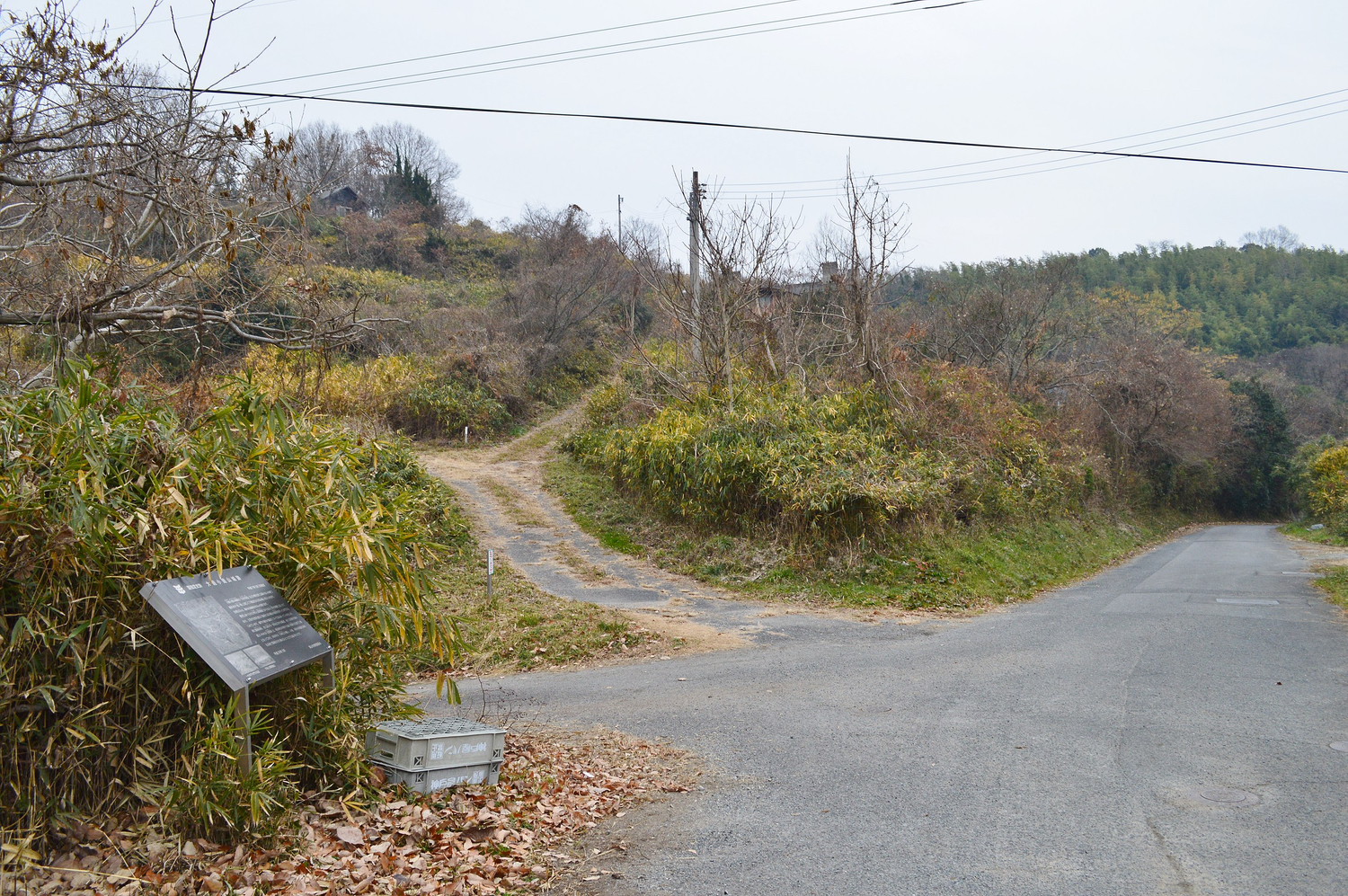 大廻小廻山城