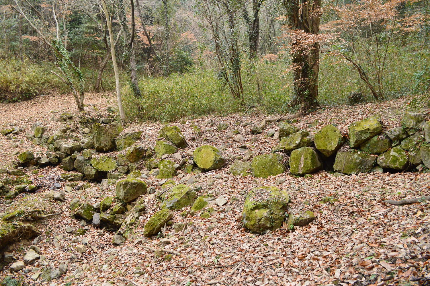 大廻小廻山城