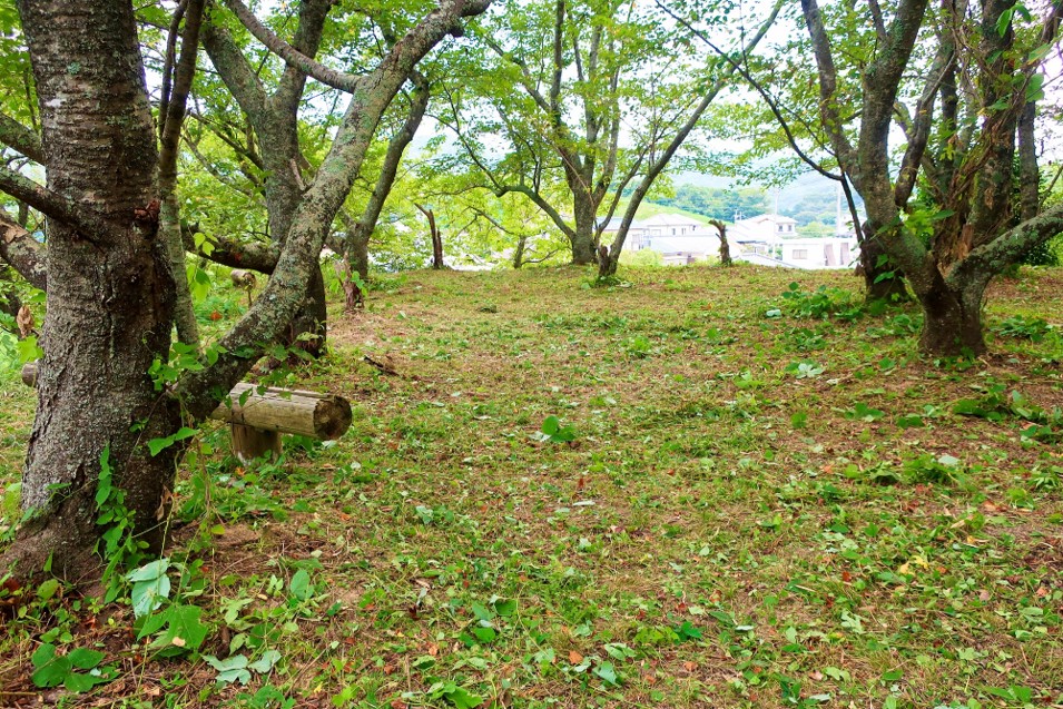 浦間茶臼山古墳草刈り