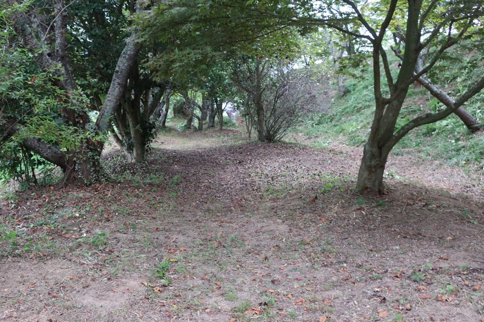 浦間茶臼山古墳草刈り