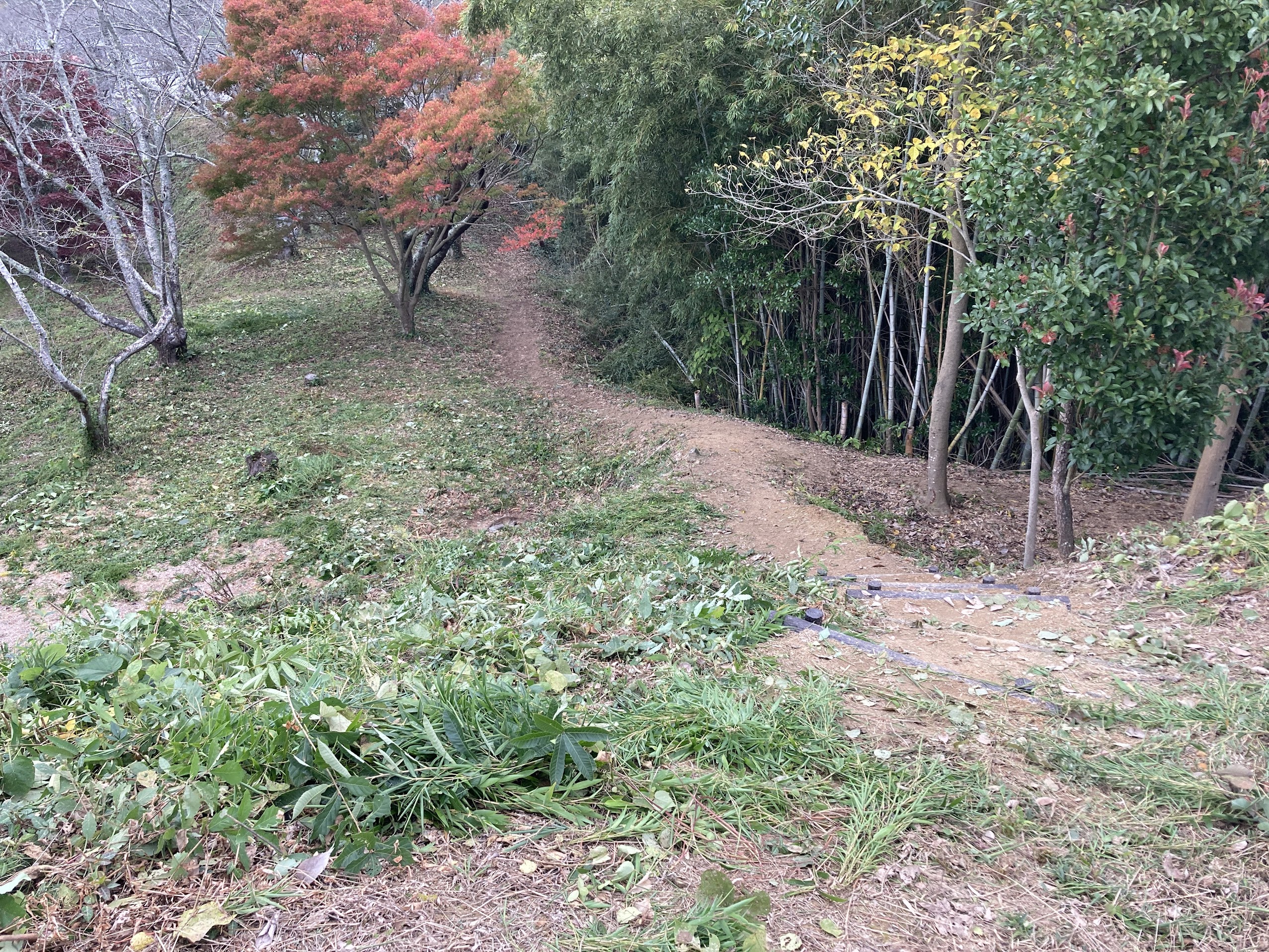 浦間茶臼山古墳清掃活動