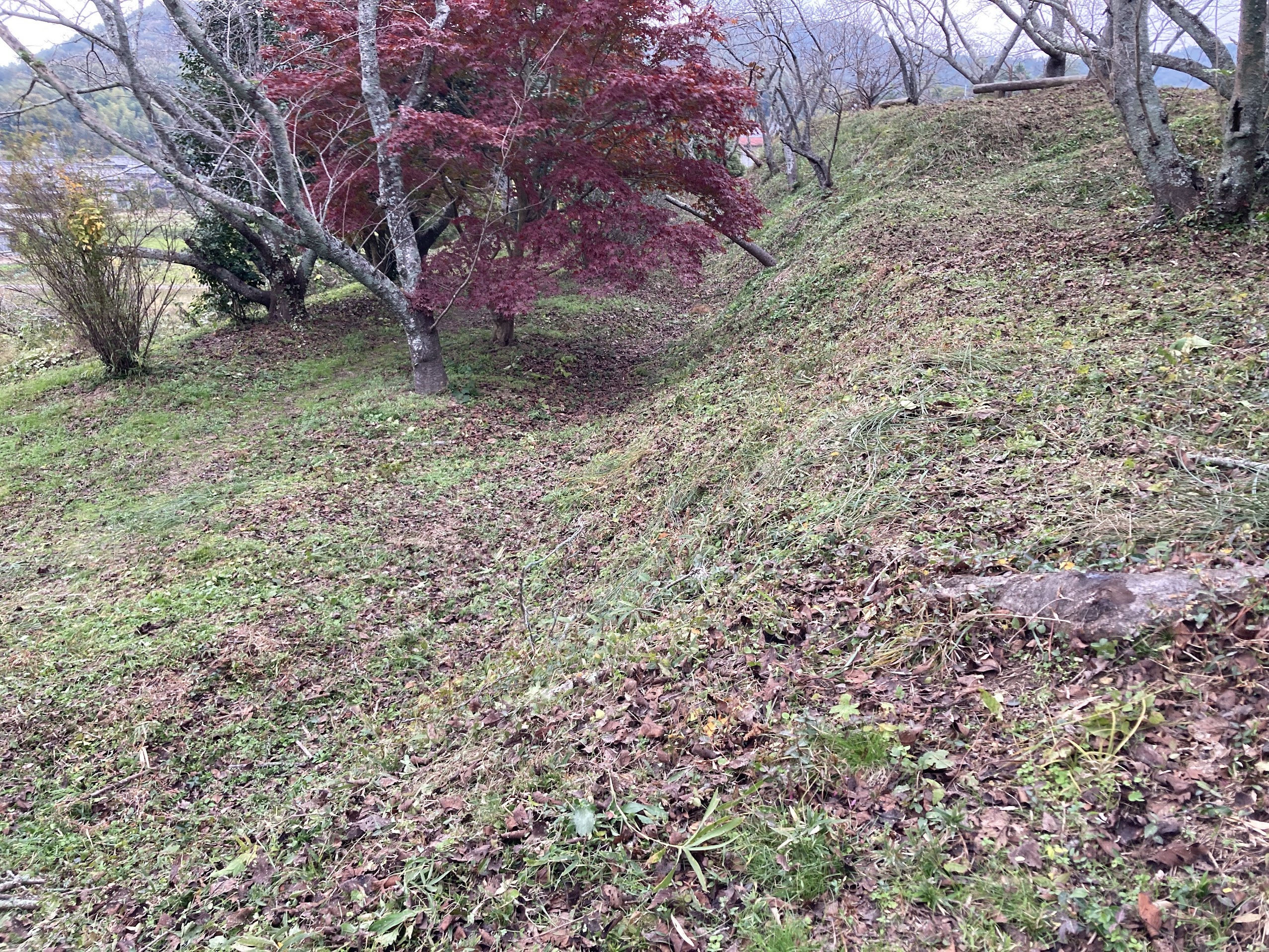 浦間茶臼山古墳清掃活動