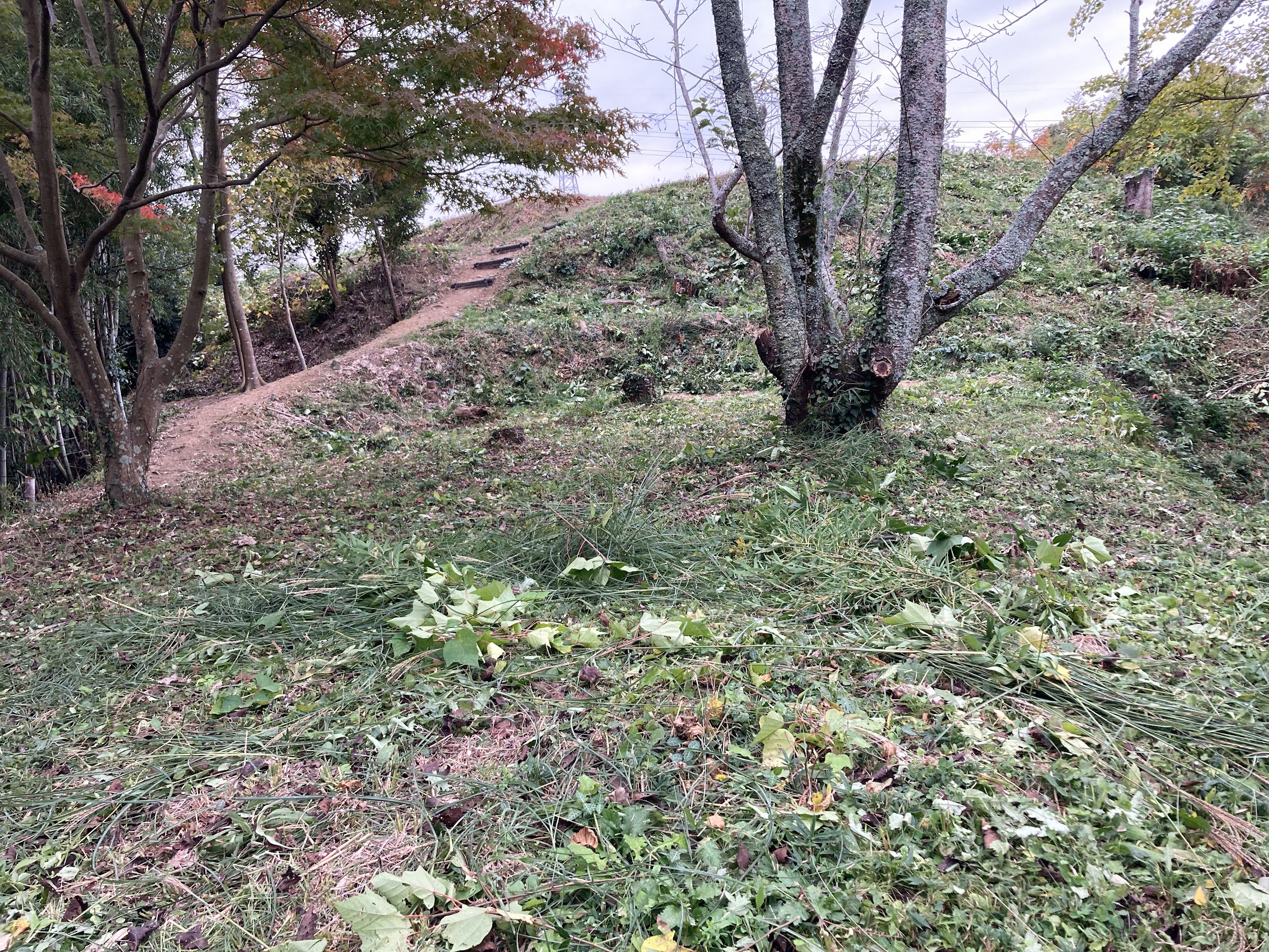 浦間茶臼山古墳清掃活動