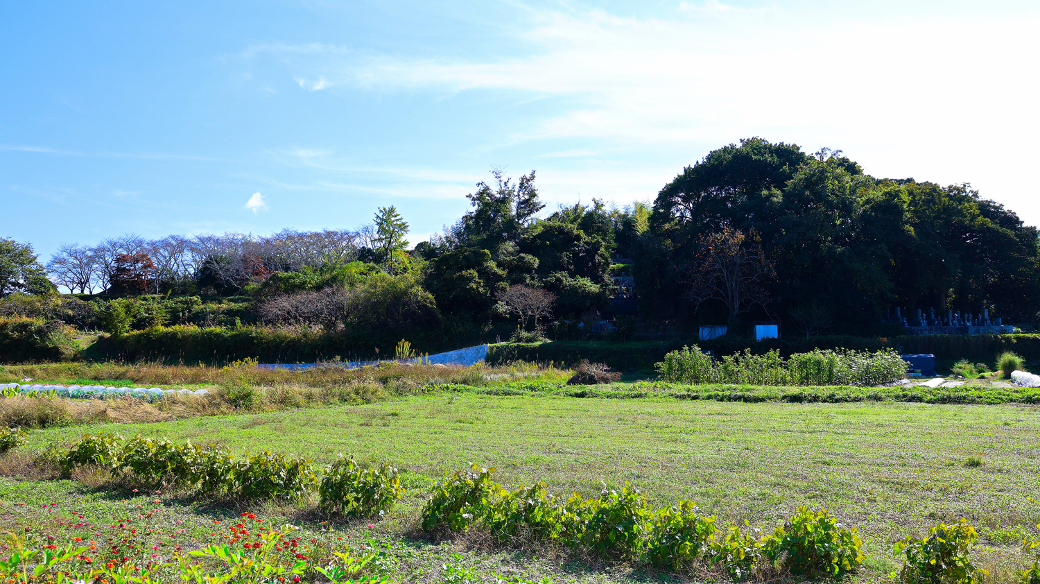 浦間茶臼山古墳