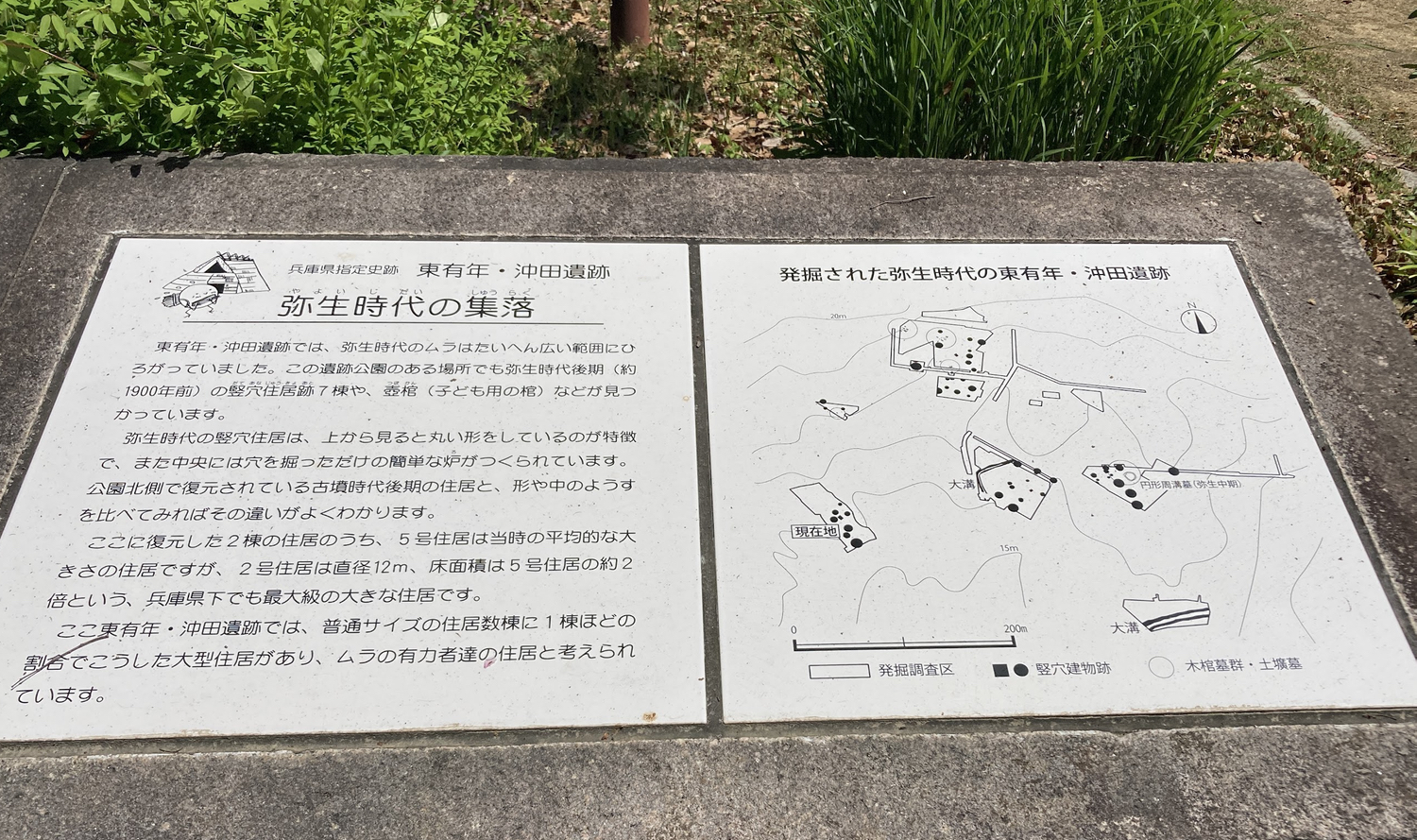 東有年遺跡弥生