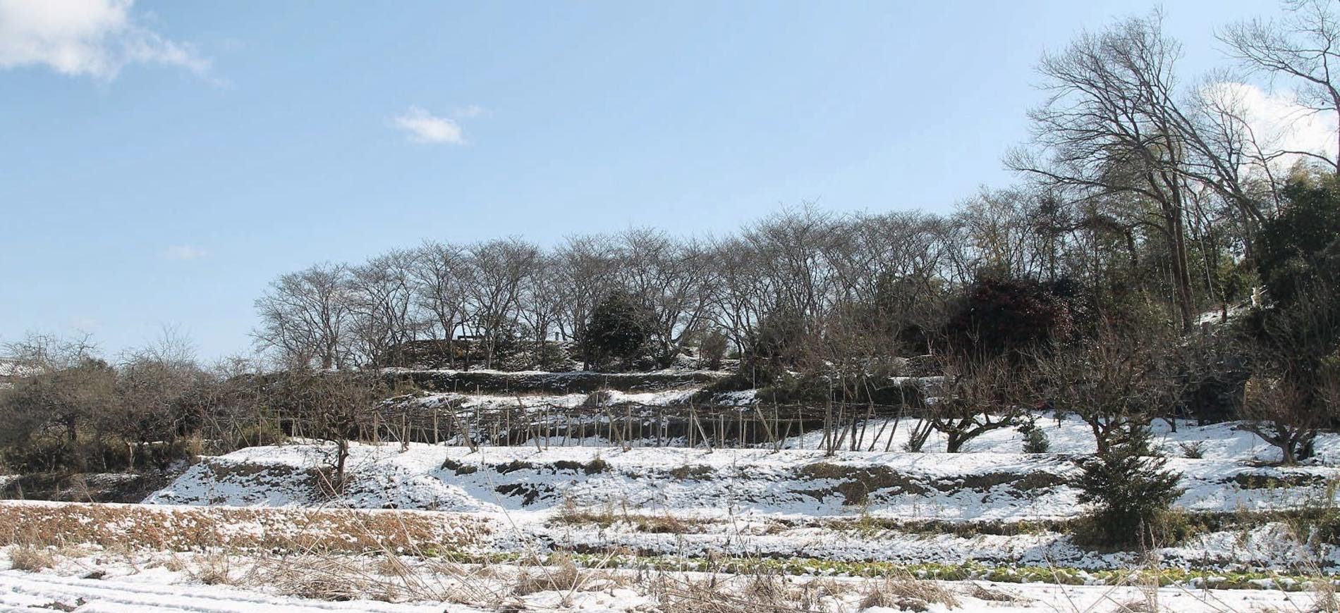 浦間茶臼山古墳冬