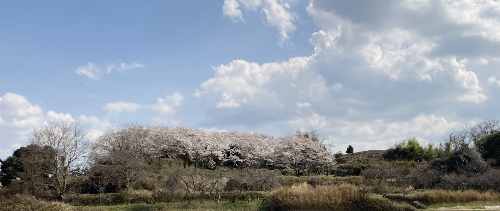 浦間茶臼山古墳