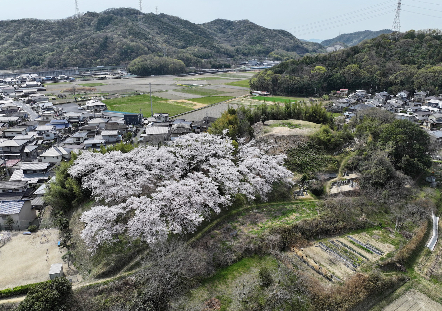 浦間茶臼山古墳全景