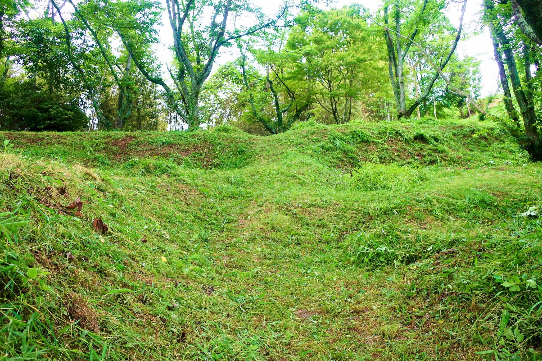 浦間茶臼山古墳草刈り