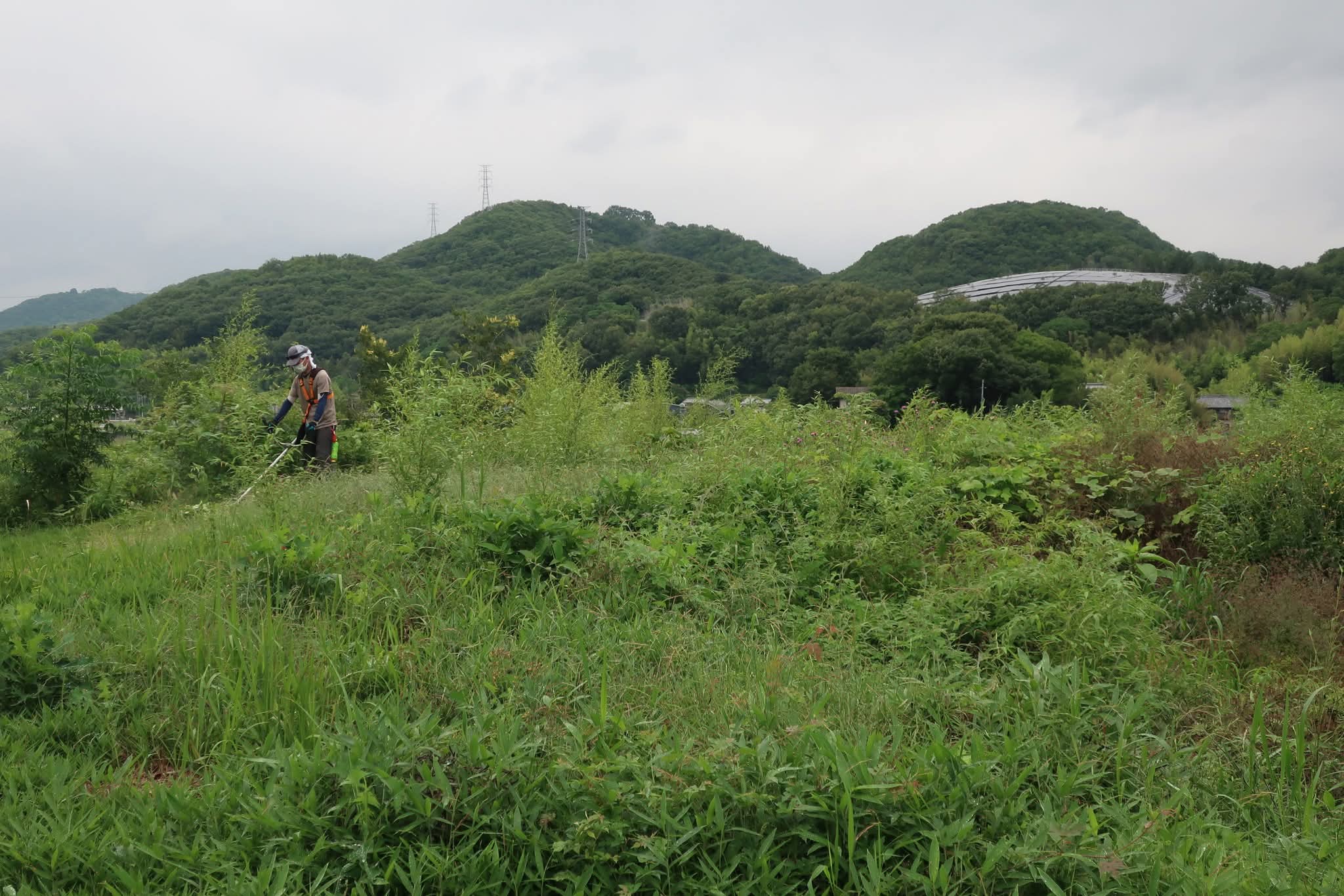 浦間茶臼山古墳草刈り