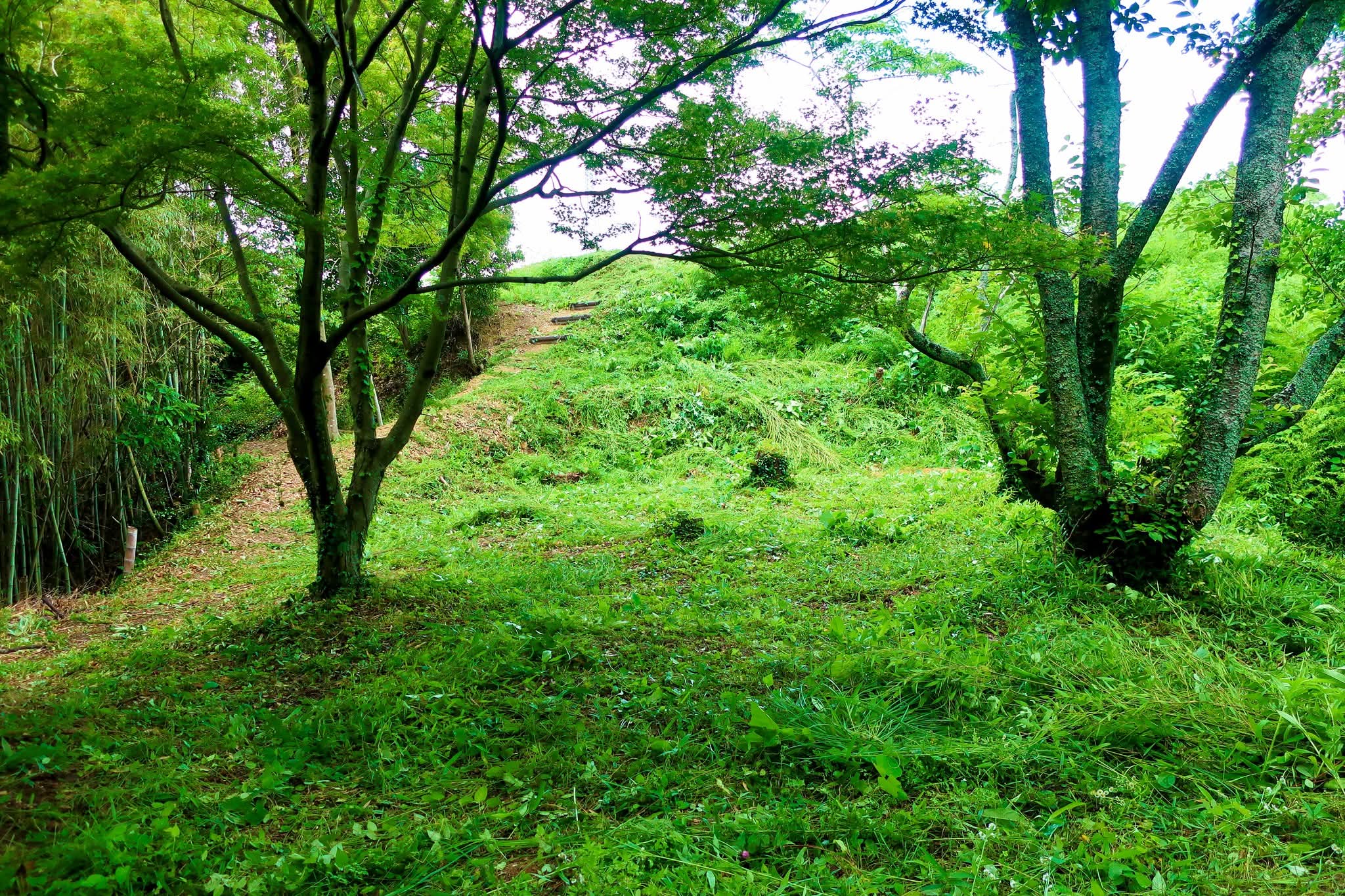 浦間茶臼山古墳草刈り