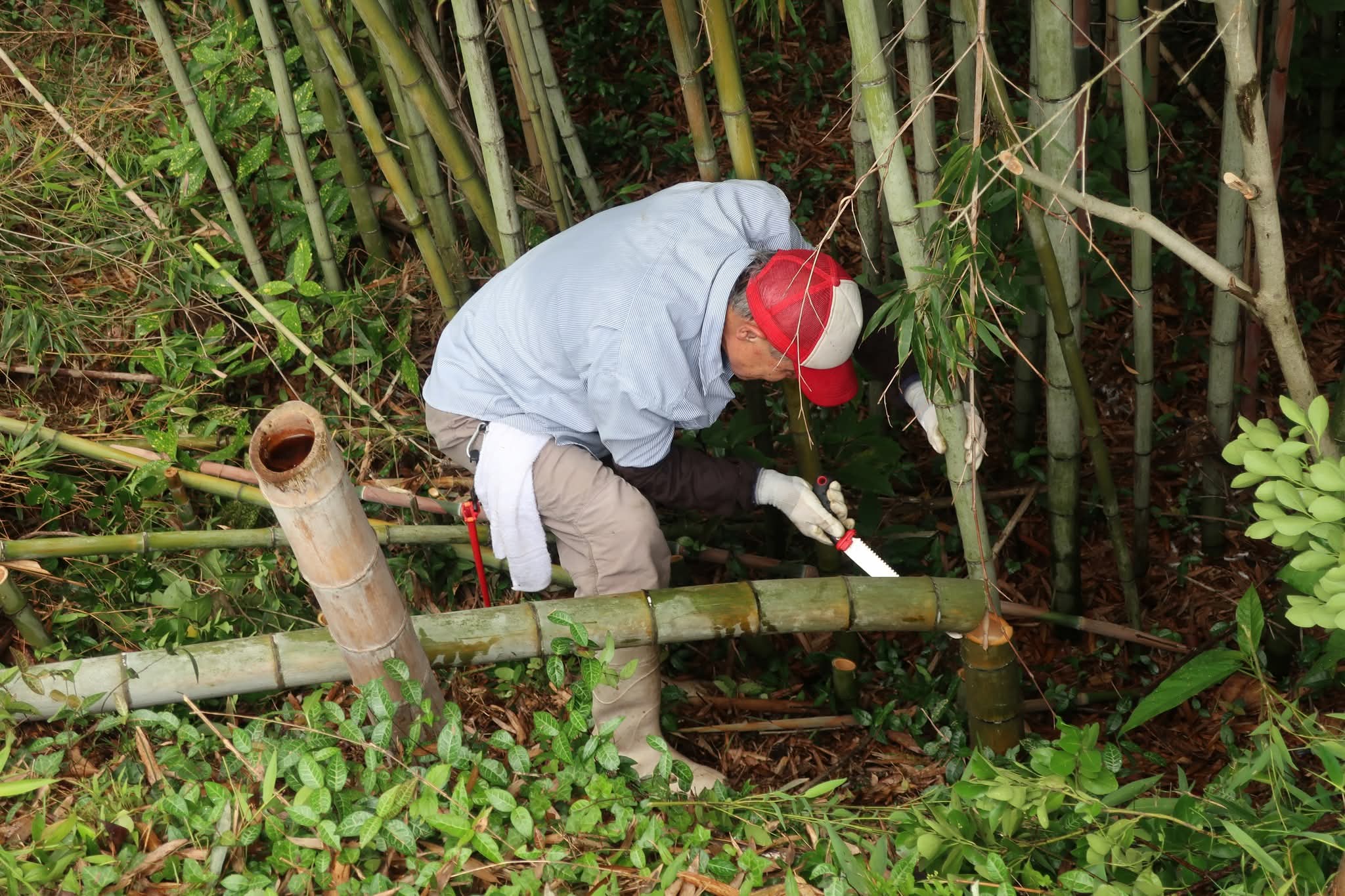 浦間茶臼山古墳草刈り