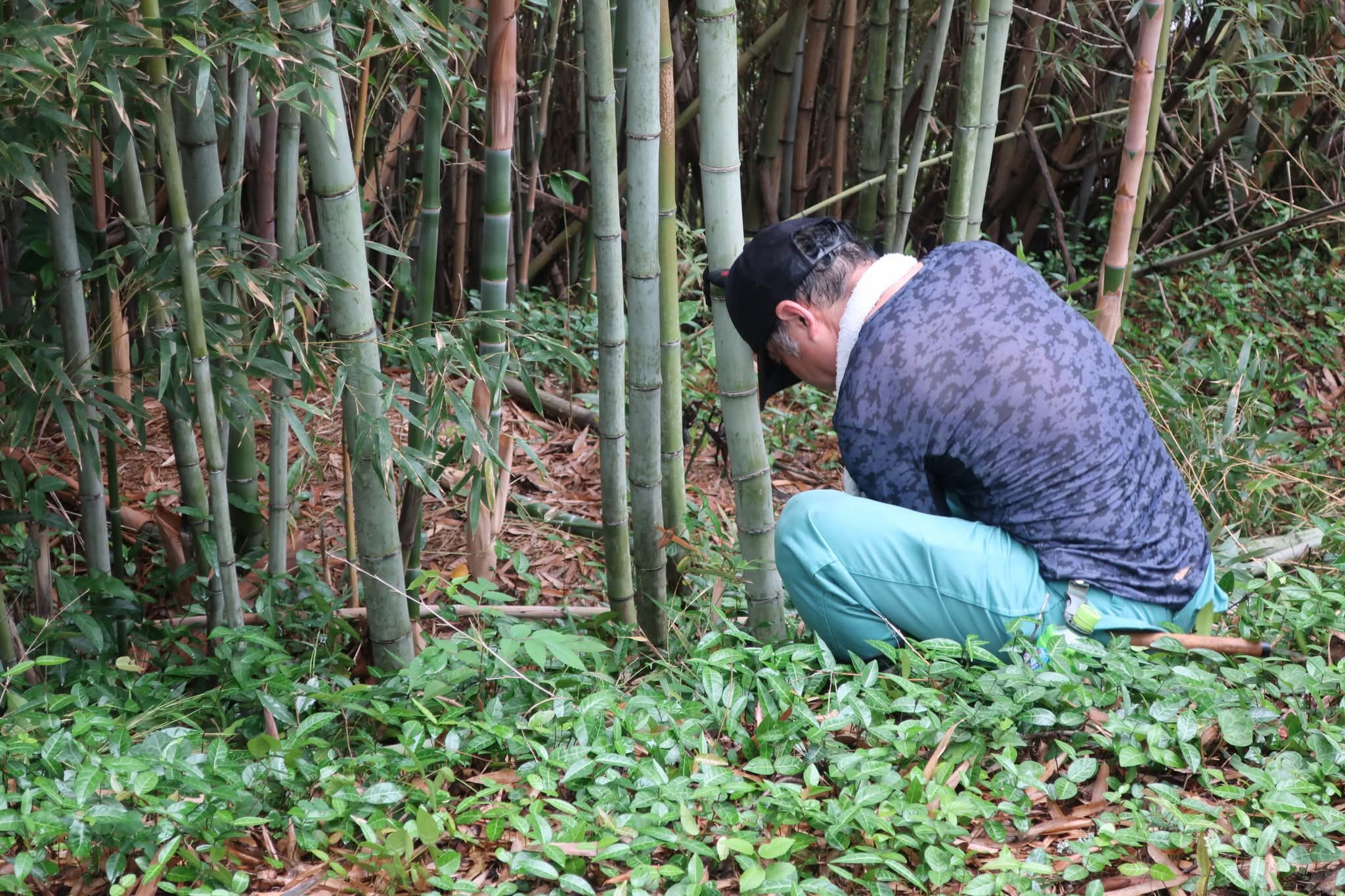 浦間茶臼山古墳草刈り