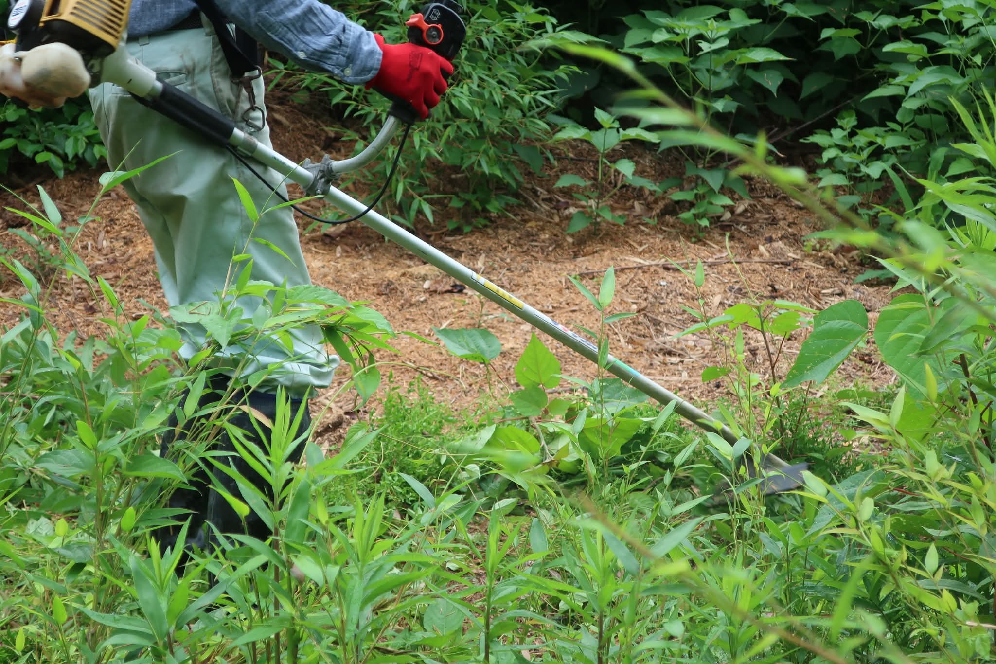 浦間茶臼山古墳草刈り