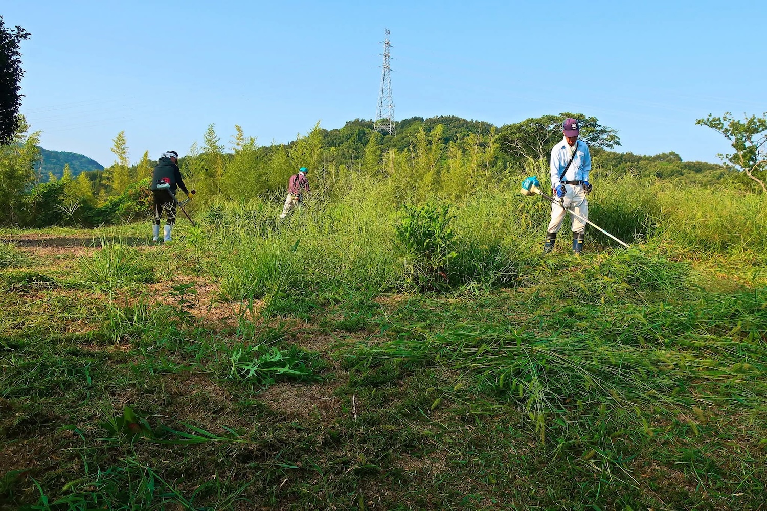 浦間茶臼山古墳草刈り作業