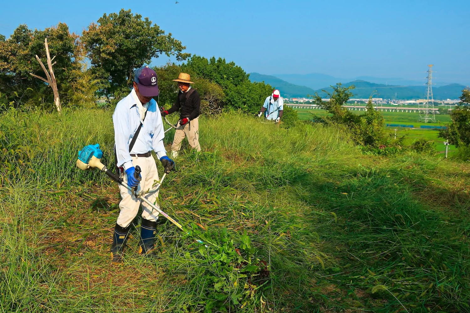 浦間茶臼山古墳草刈り作業
