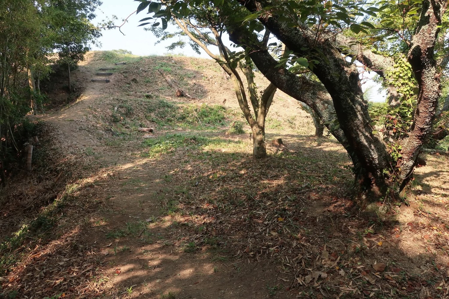 浦間茶臼山古墳草刈り作業