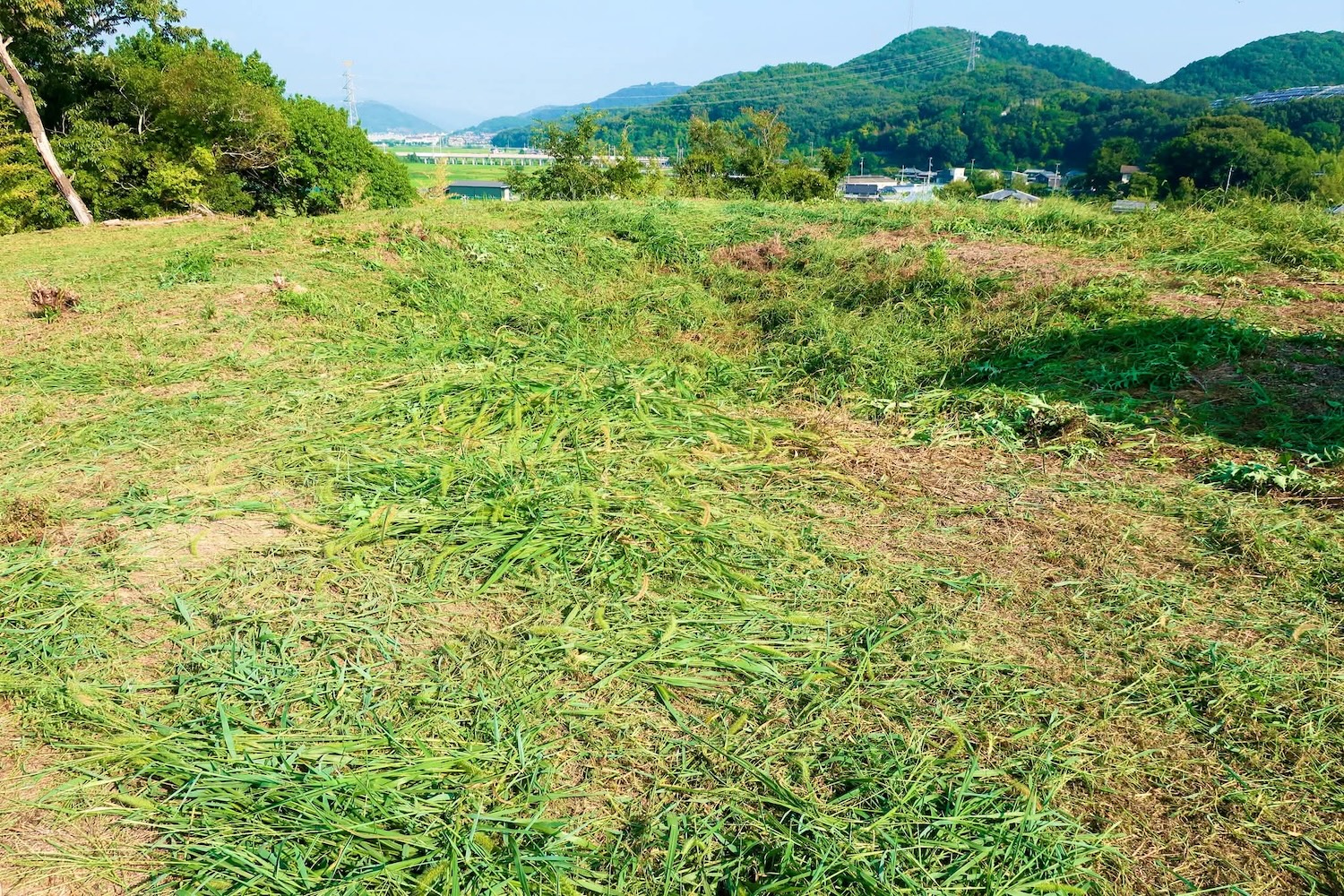 浦間茶臼山古墳草刈り作業
