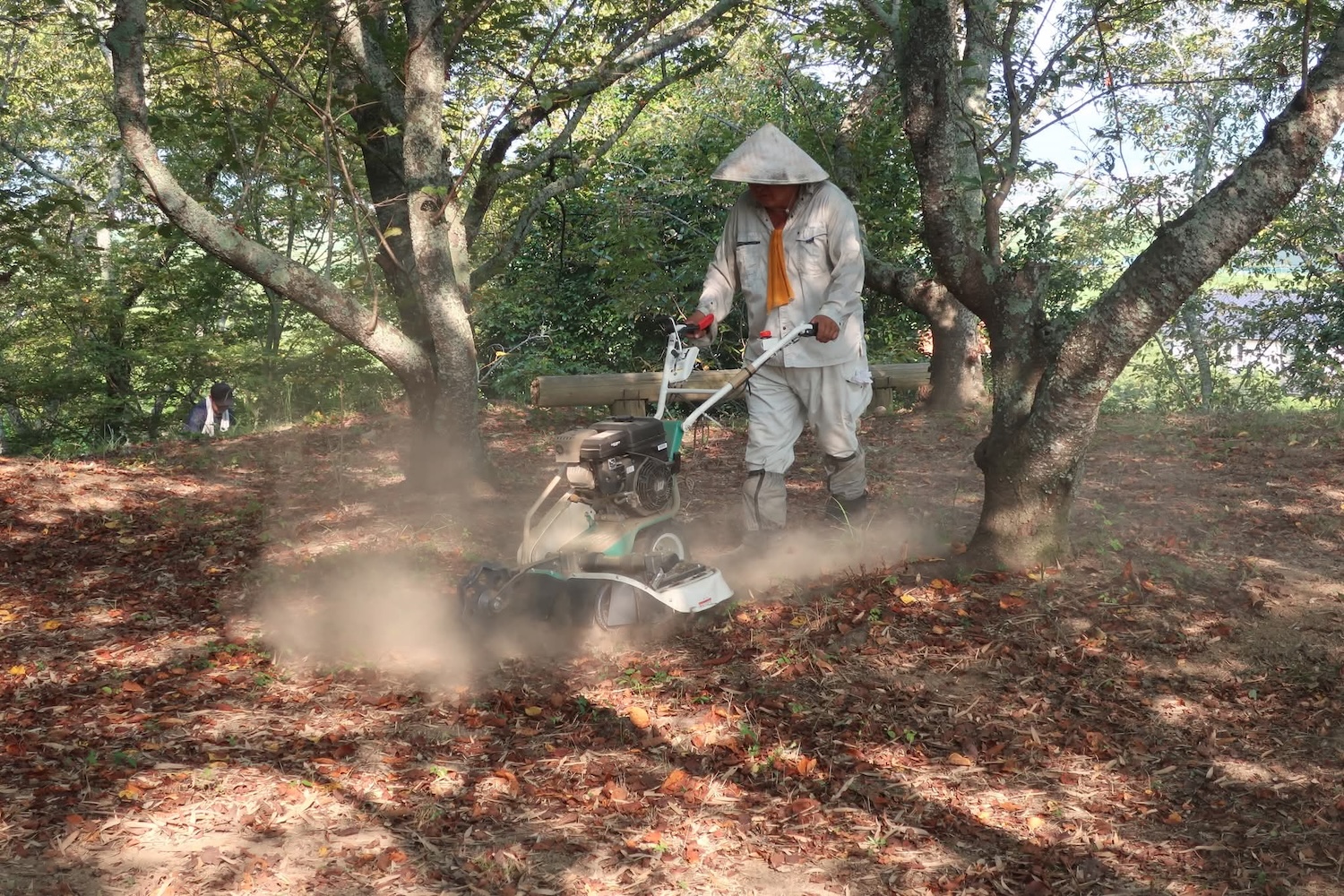 浦間茶臼山古墳草刈り作業
