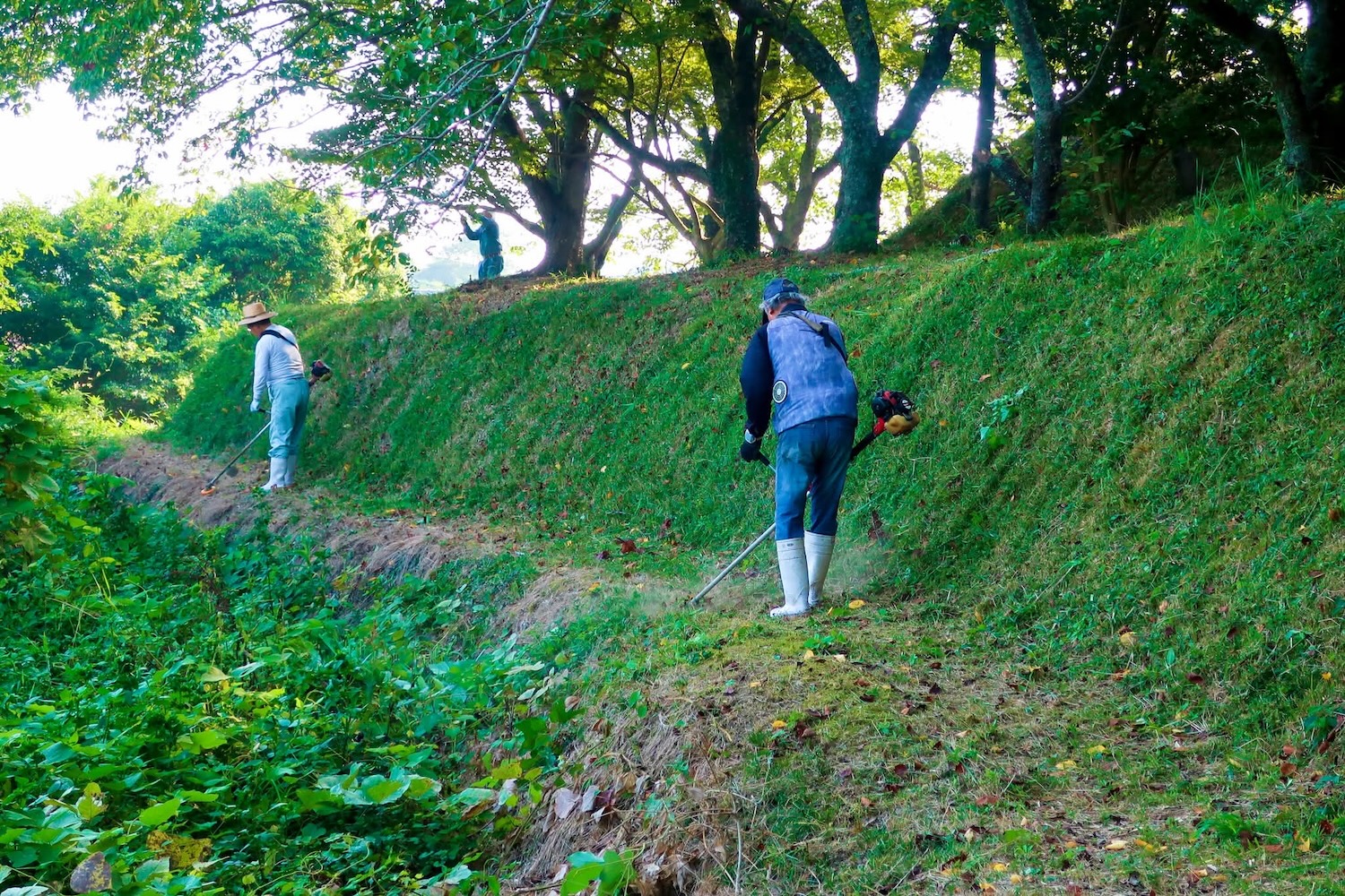 浦間茶臼山古墳草刈り作業