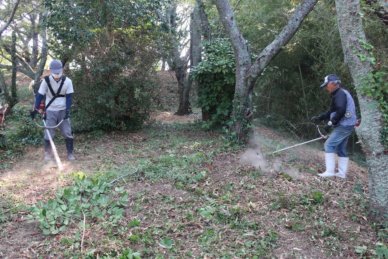 浦間茶臼山古墳草刈り作業