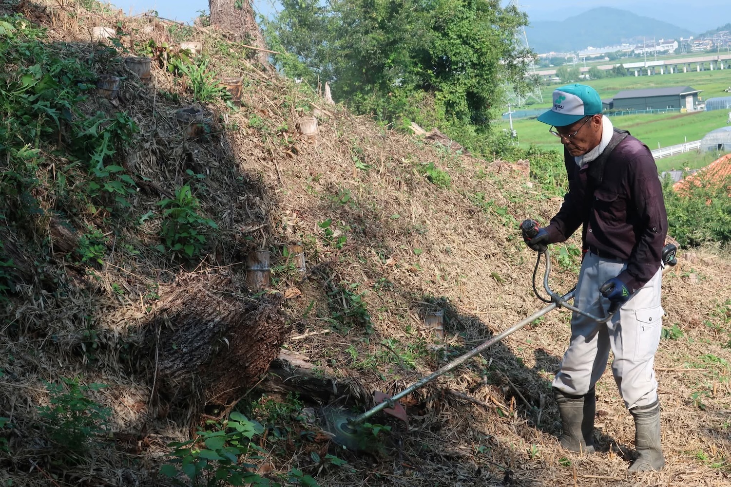 浦間茶臼山古墳草刈り作業