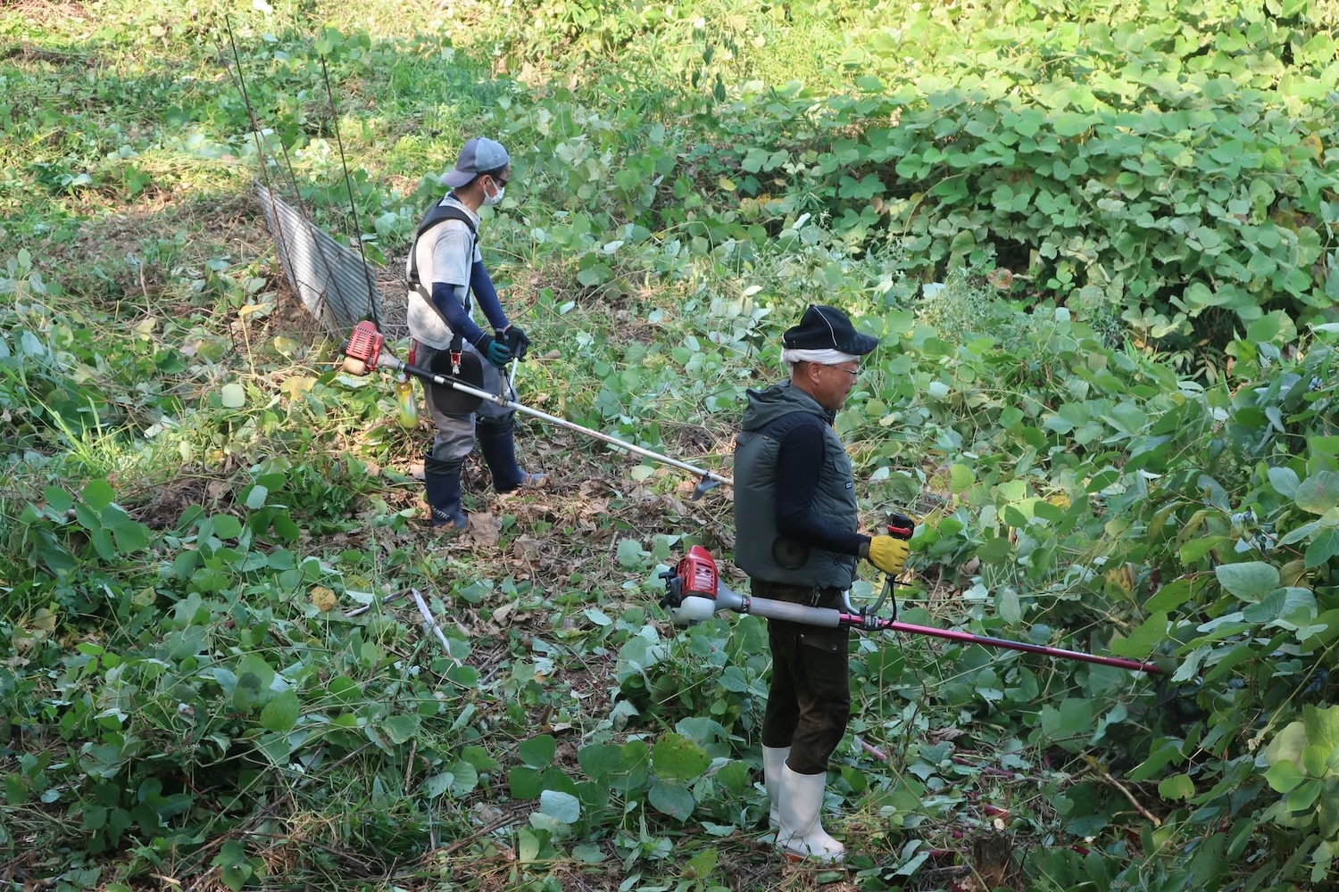 浦間茶臼山古墳草刈り作業
