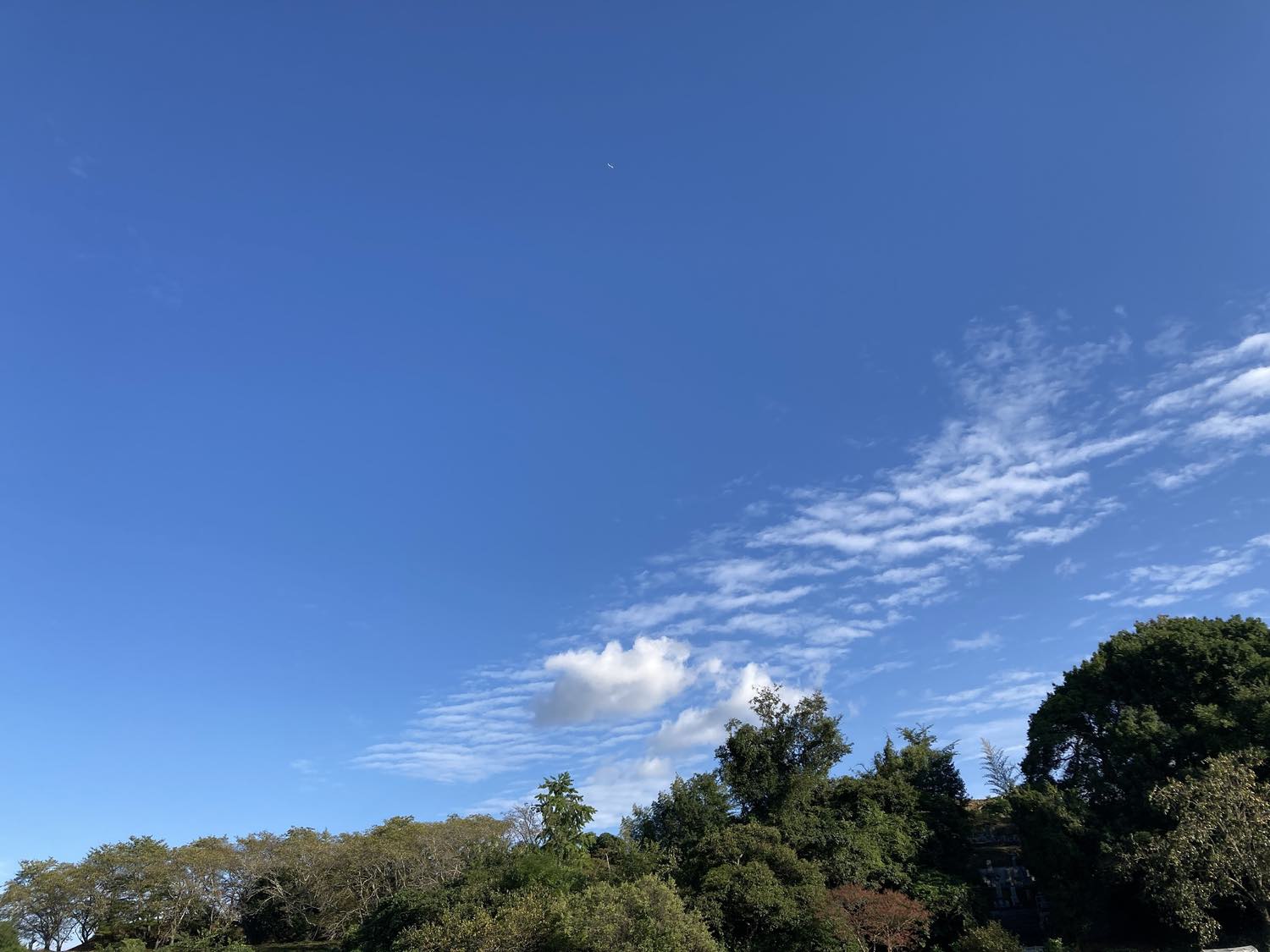 浦間茶臼山古墳
