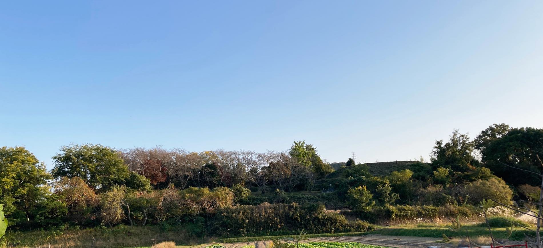 浦間茶臼山古墳