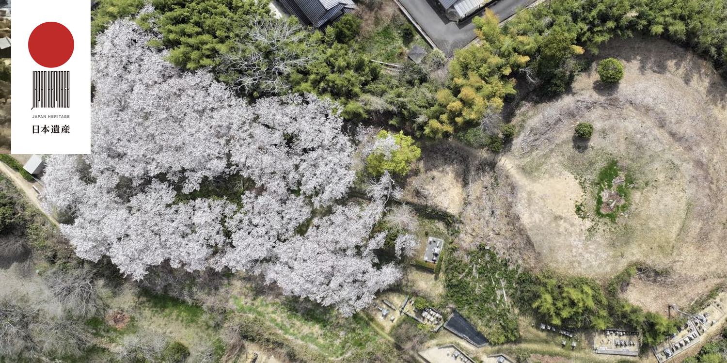 浦間茶臼山古墳全景