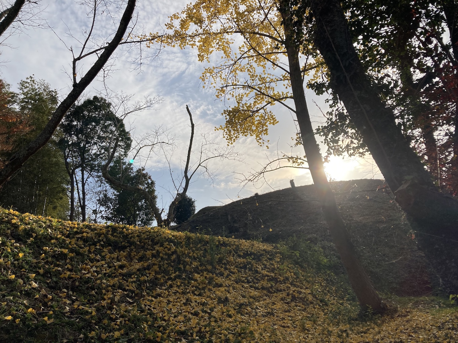 浦間茶臼山古墳
