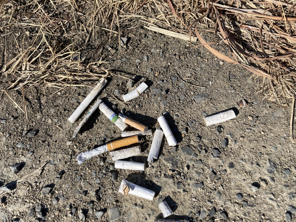 タバコの吸い殻