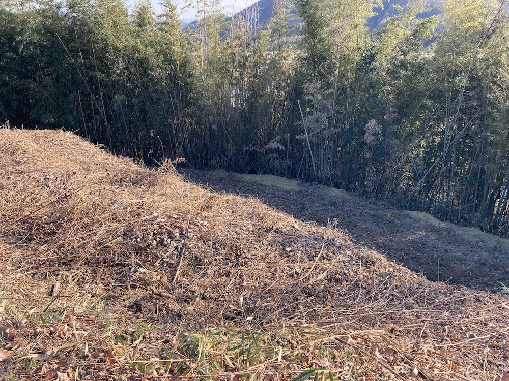 浦間茶臼山古墳南側