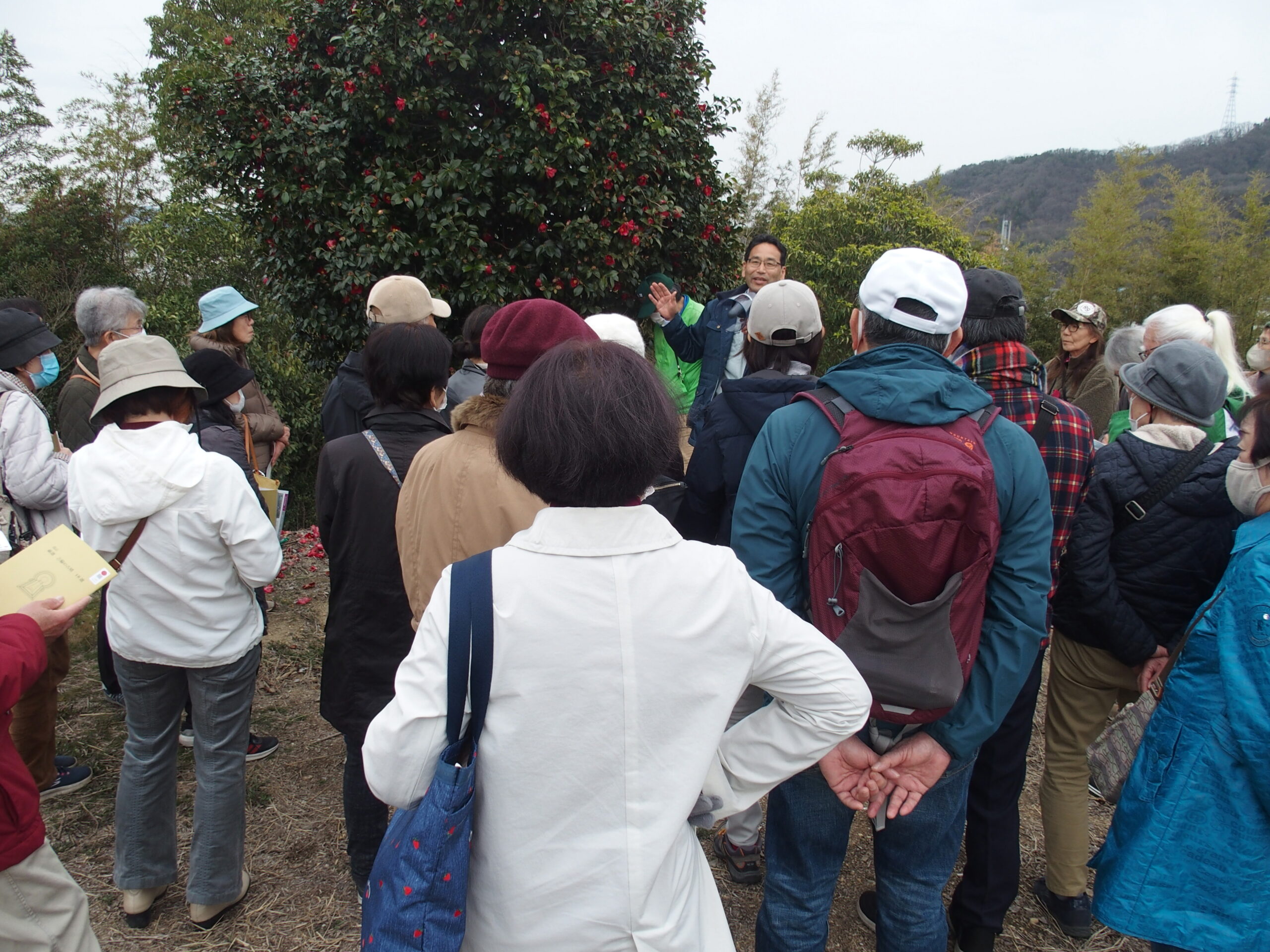 浦間茶臼山古墳見学