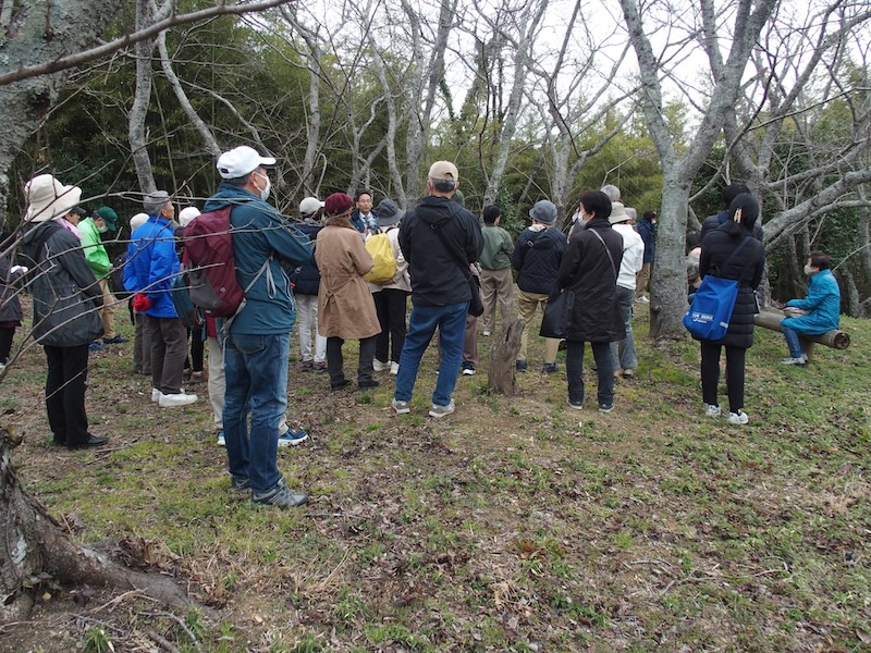 浦間茶臼山古墳見学