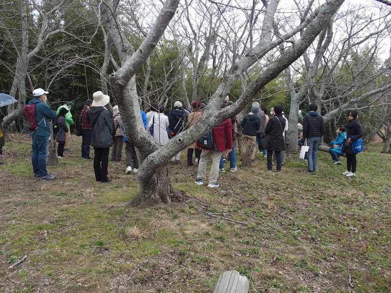 浦間茶臼山古墳見学